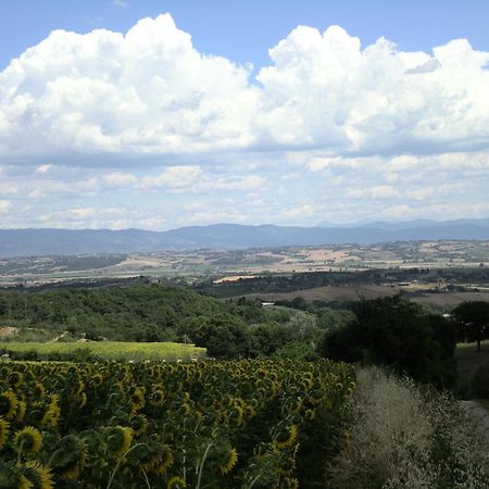Hotel Sangallo B&B Montepulciano Stazione Екстериор снимка