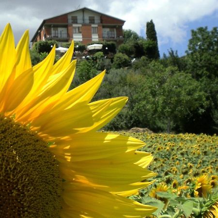 Hotel Sangallo B&B Montepulciano Stazione Екстериор снимка
