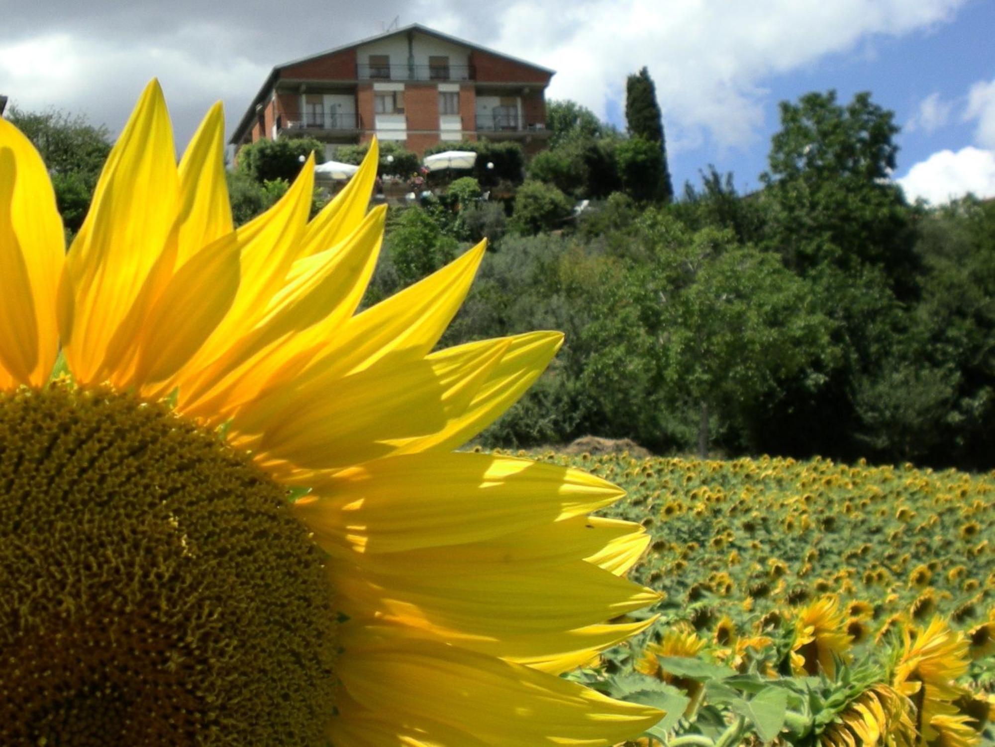 Hotel Sangallo B&B Montepulciano Stazione Екстериор снимка